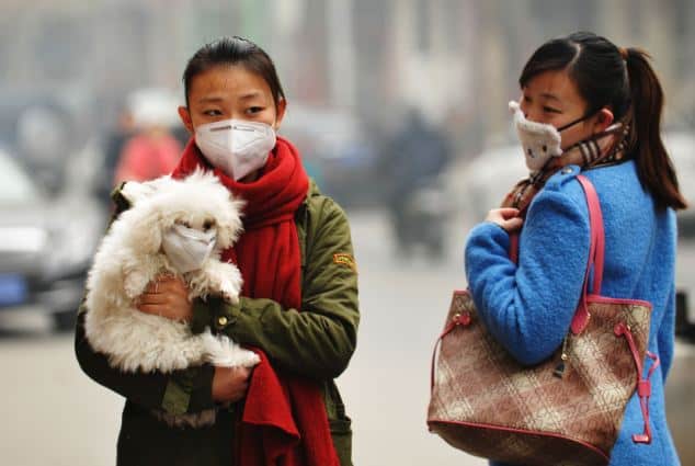 Dog-pollution-mask-filter-urban-smog-smoke