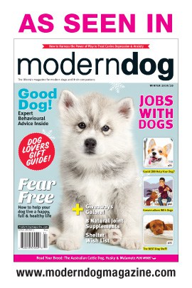 K9-Mask-Modern-Dog-Magazine-Cool-New-Products-2020
