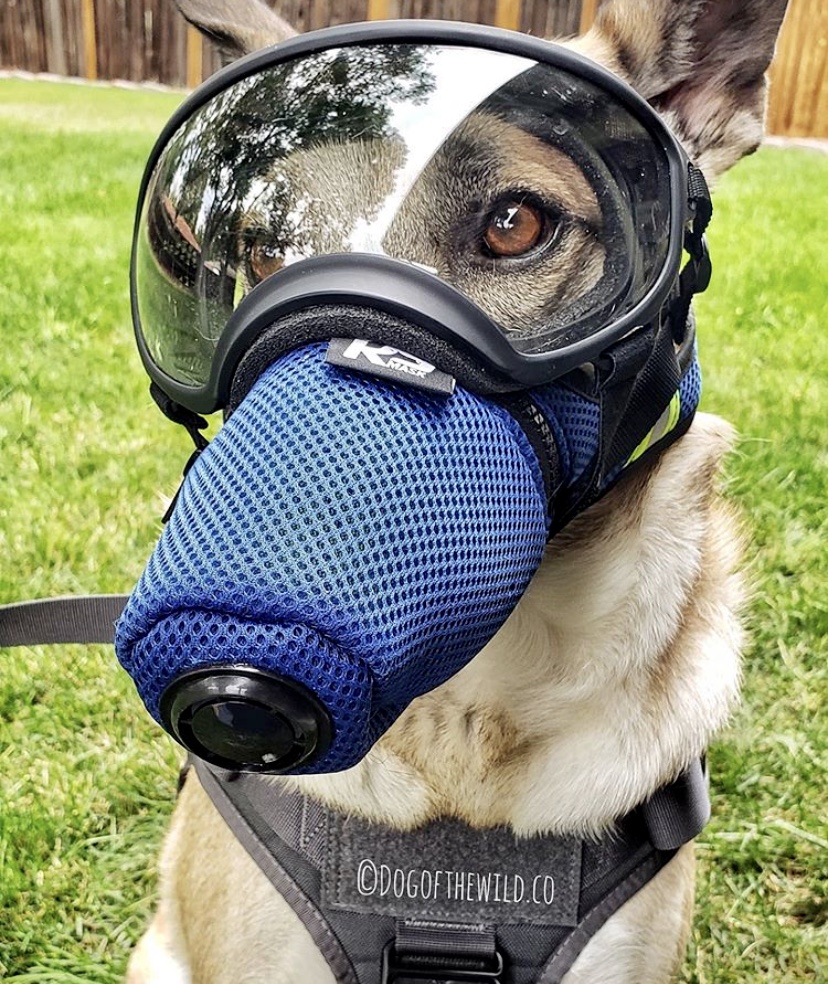 K9 mask customer photo with goggles