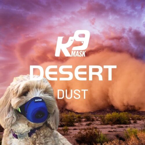 K9 Mask Air Filter Mask for Dogs in Desert Dust