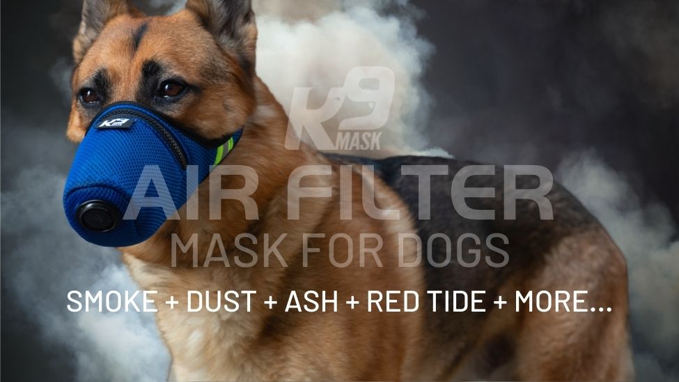 hbz11hl Breathable Pet PM2.5 Filter Anti Smoke Fog Pollution Muzzle Dog Face Mouth Mask Grey S 