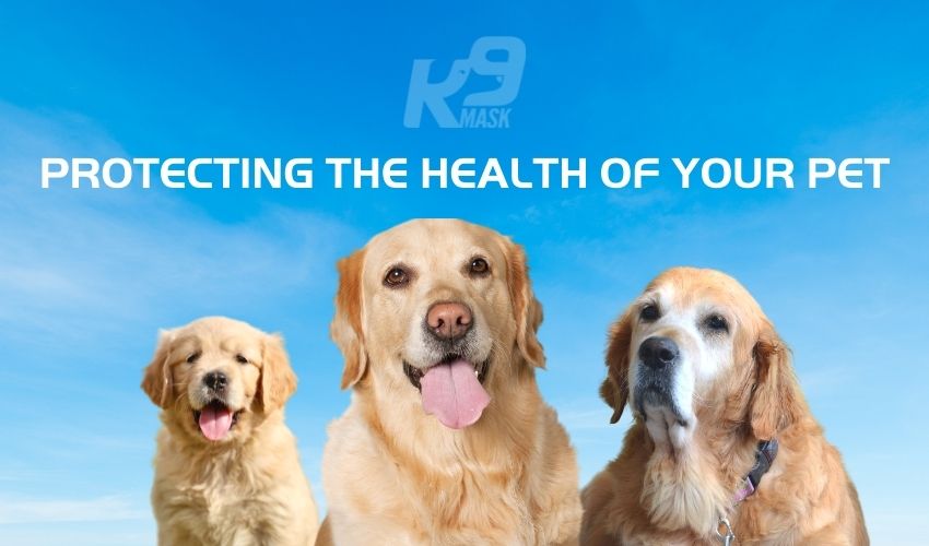 K9 Mask Air Filter Mask for Dogs for health protection