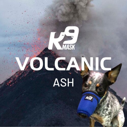 K9 Mask Air Filter Mask for Dogs in Volcanic Ash