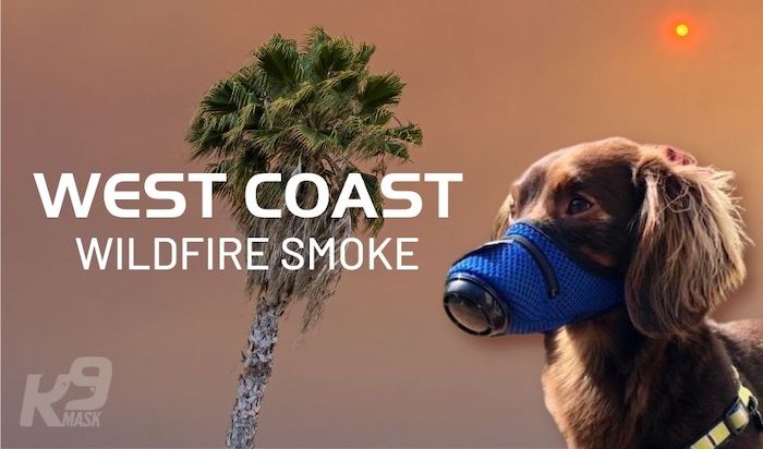 K9 Mask Air Filter Mask for Dogs in Wildfire Smoke for West Coast