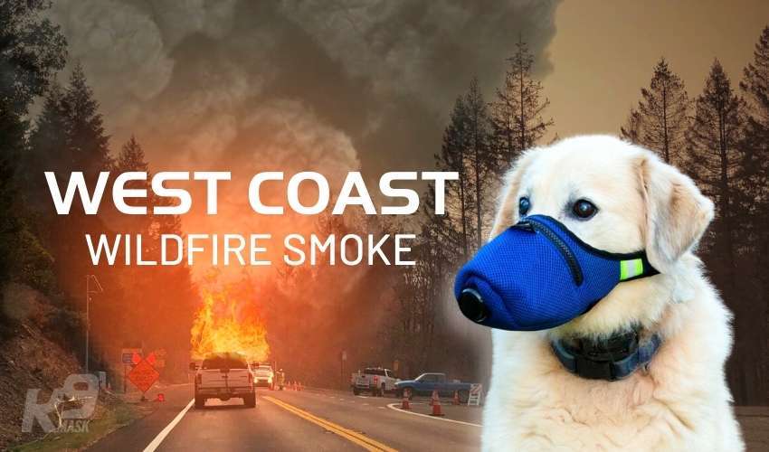 K9 Mask® Air Filter Smoke Mask for Dogs in Wildfire Smoke California
